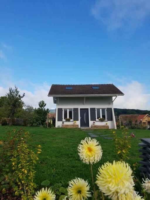 Gite Le Charmot, Au Pied Des Montagnes Classe 3* Roderen Ngoại thất bức ảnh