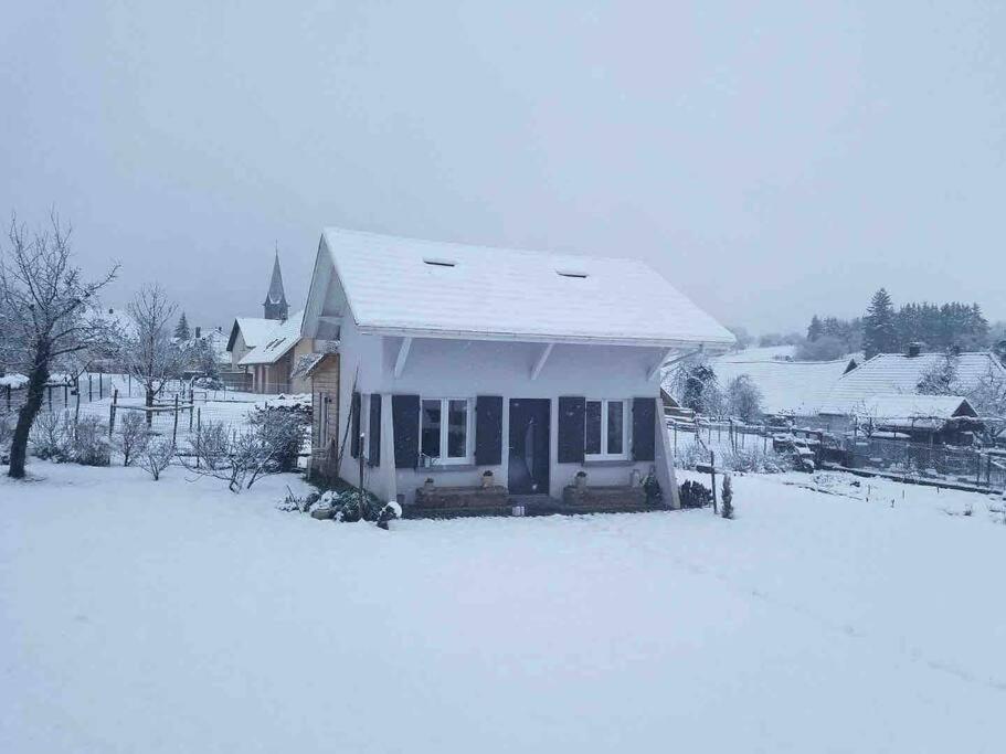 Gite Le Charmot, Au Pied Des Montagnes Classe 3* Roderen Ngoại thất bức ảnh