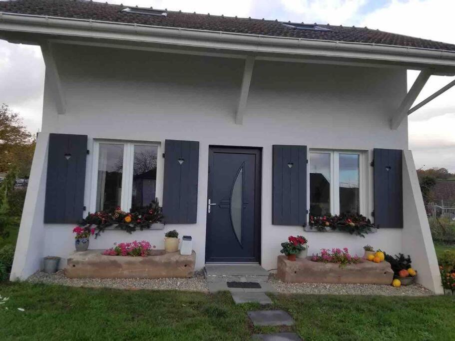 Gite Le Charmot, Au Pied Des Montagnes Classe 3* Roderen Ngoại thất bức ảnh
